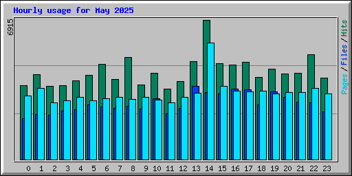 Hourly usage for May 2025