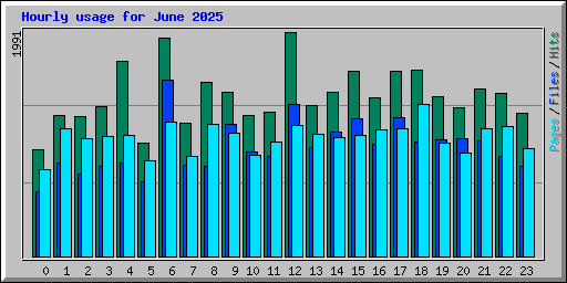 Hourly usage for June 2025