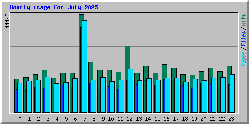 Hourly usage for July 2025