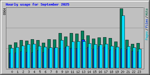 Hourly usage for September 2025