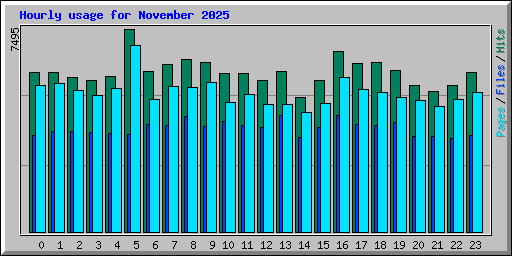 Hourly usage for November 2025