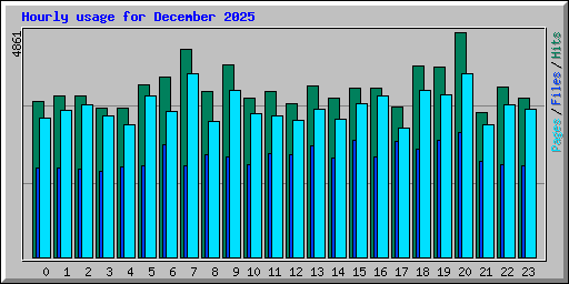 Hourly usage for December 2025