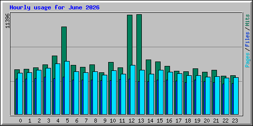 Hourly usage for June 2026