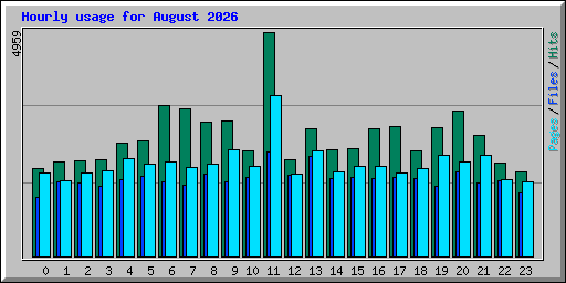 Hourly usage for August 2026